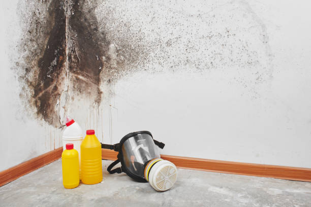 Water damage restoration mold remediation in Sapulpa, OK